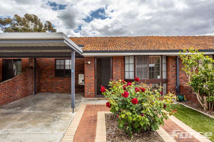 Main view of Homely villa listing, 6/33 Seventh Avenue, Maylands WA 6051