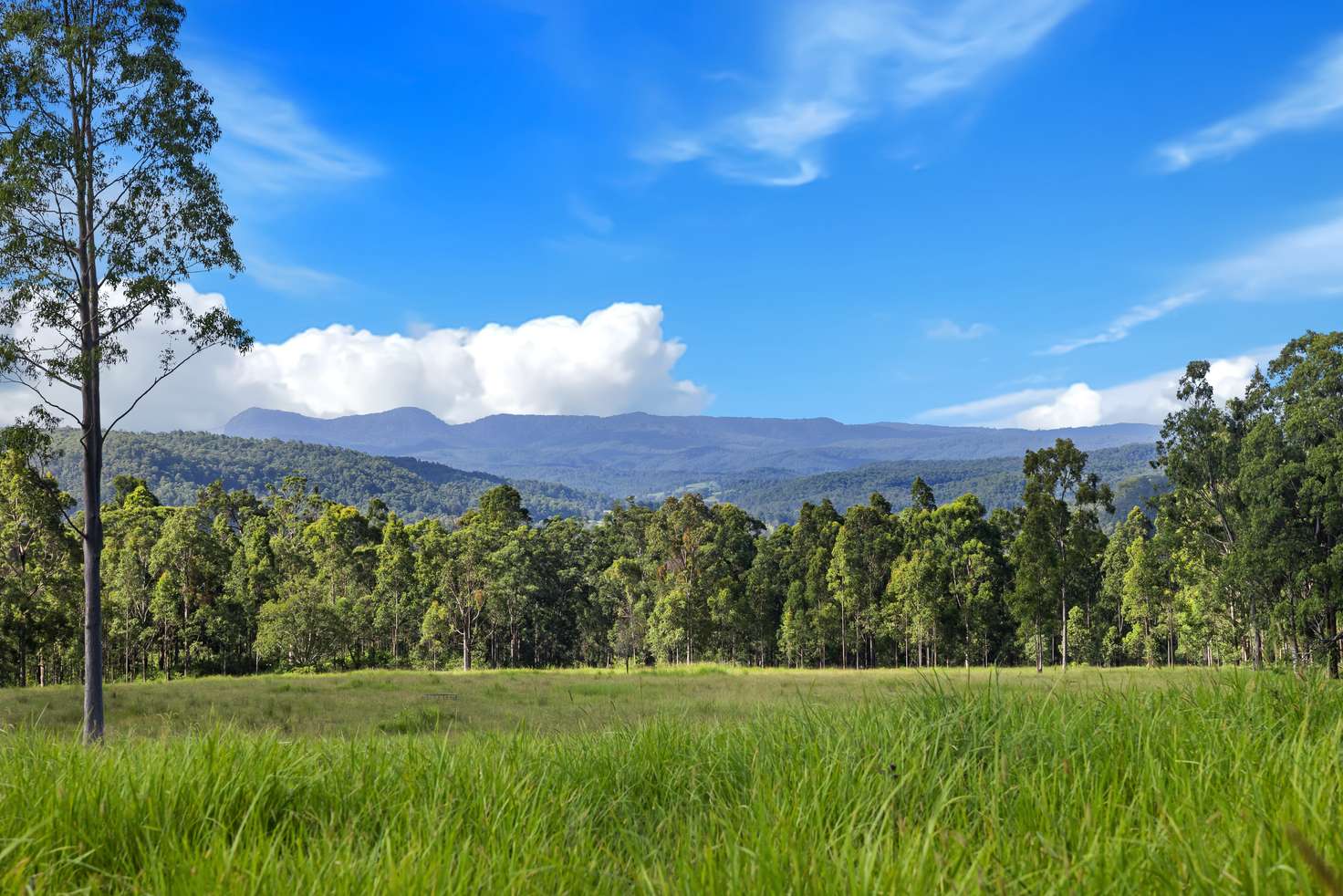 Main view of Homely lifestyle listing, Lot 62-69 Duck Creek Road, Old Bonalbo NSW 2469