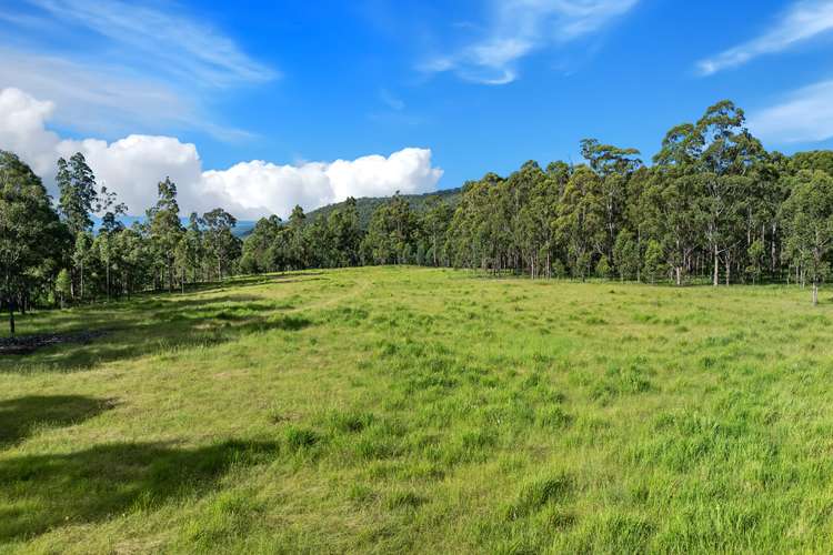 Sixth view of Homely lifestyle listing, Lot 62-69 Duck Creek Road, Old Bonalbo NSW 2469