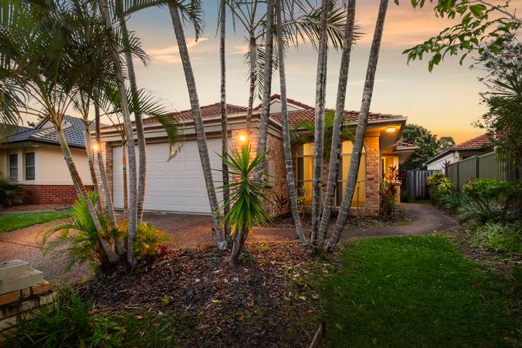 36 Vivacity Drive, Upper Coomera QLD 4209