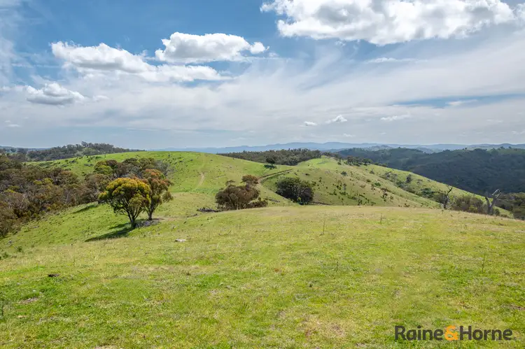 Main view of Homely rural property listing, Lot 4/2553 Campfire Road, Walcha NSW 2354
