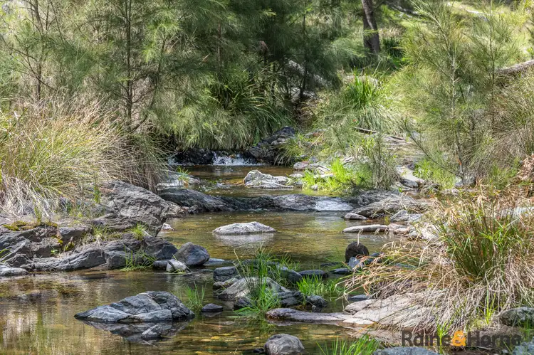 Fourth view of Homely rural property listing, Lot 4/2553 Campfire Road, Walcha NSW 2354