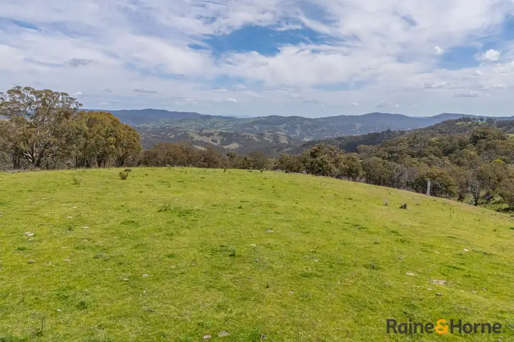Fifth view of Homely rural property listing, Lot 4/2553 Campfire Road, Walcha NSW 2354