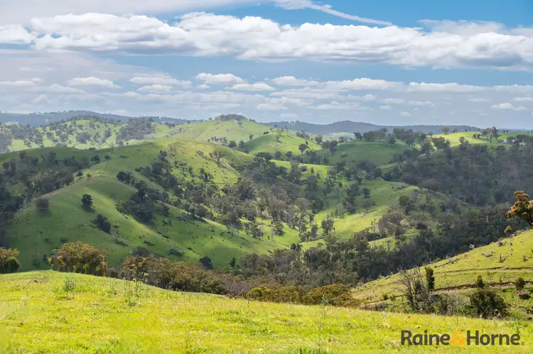 Sixth view of Homely rural property listing, Lot 4/2553 Campfire Road, Walcha NSW 2354