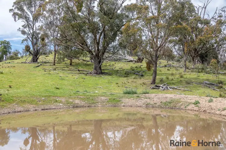 Seventh view of Homely rural property listing, Lot 4/2553 Campfire Road, Walcha NSW 2354