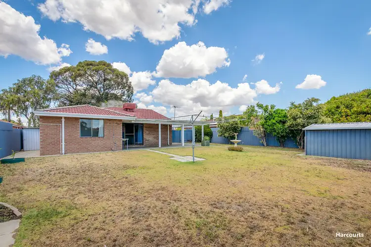 23 Sapling Way