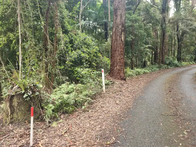 Main view of Homely land listing, 9 Gwongorella Parade, Springbrook QLD 4213