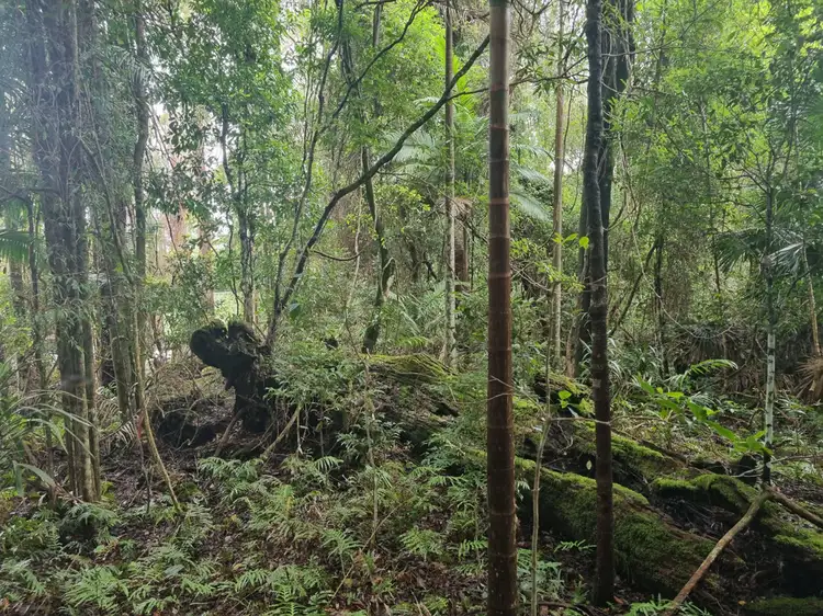 Sixth view of Homely land listing, 9 Gwongorella Parade, Springbrook QLD 4213