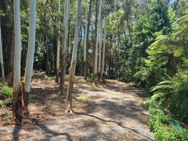 Fifth view of Homely land listing, 11 Gwongorella Parade, Springbrook QLD 4213