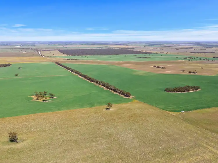 Second view of Homely rural property listing, 769 Heym Road, Sherlock SA 5301