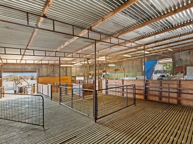Sixth view of Homely rural property listing, 769 Heym Road, Sherlock SA 5301