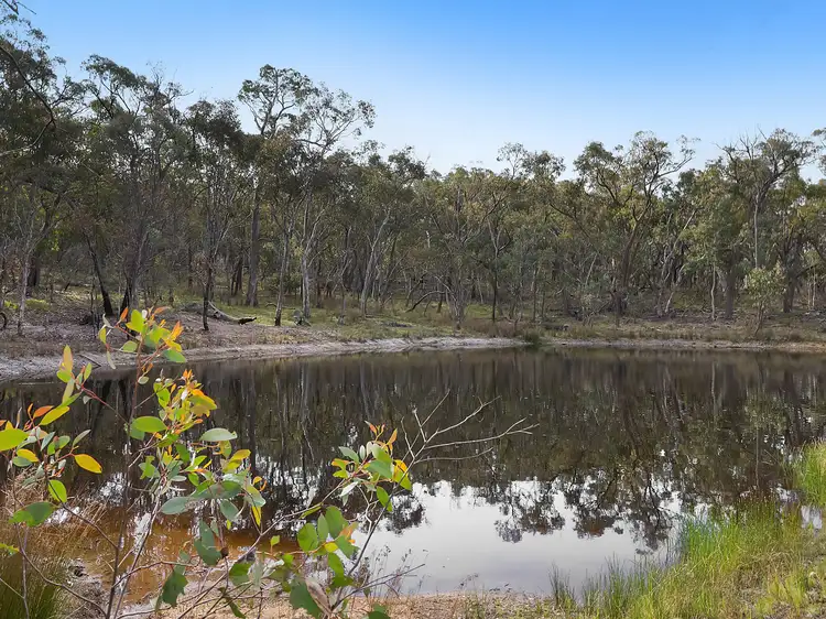 Fourth view of Homely rural property listing, 163 Broken Shaft Close, Orange NSW 2800