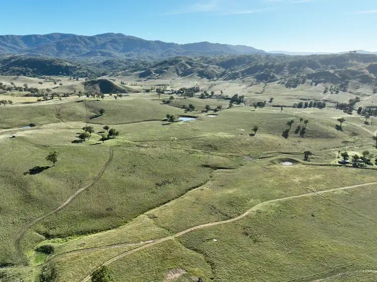 Fifth view of Homely rural property listing, "Colly View" Glen Creek Road, Scone NSW 2337