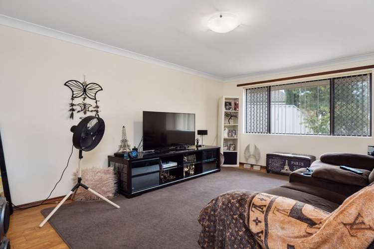 55 Wintersweet Ramble, Mirrabooka WA 6061