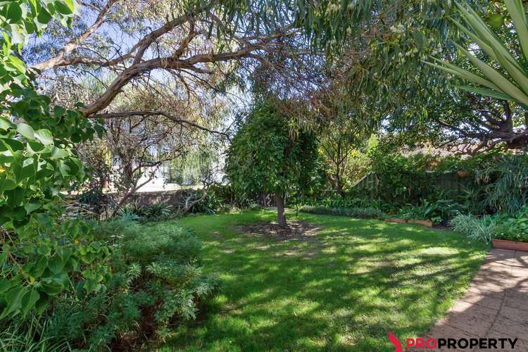 Third view of Homely house listing, 36 Banksia Street, Joondanna WA 6060