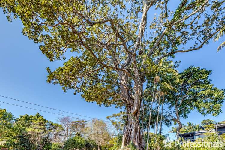 Fifth view of Homely residentialLand listing, 28 Carey Parade, Tamborine Mountain QLD 4272