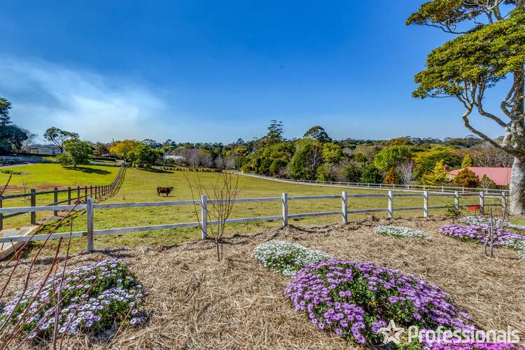 Fourth view of Homely house listing, 30-36 Benowa Street, Tamborine Mountain QLD 4272