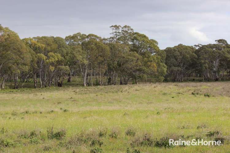 Fifth view of Homely residentialLand listing, Lot  104 Eucalyptus Drive, Coulta SA 5607