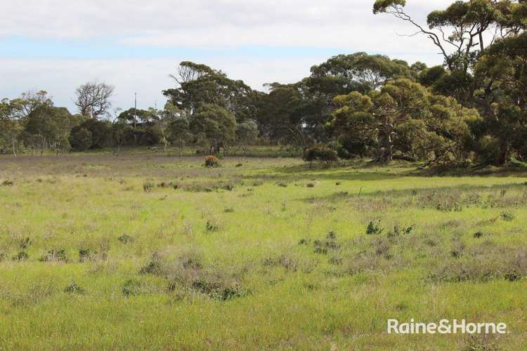 Sixth view of Homely residentialLand listing, Lot  104 Eucalyptus Drive, Coulta SA 5607