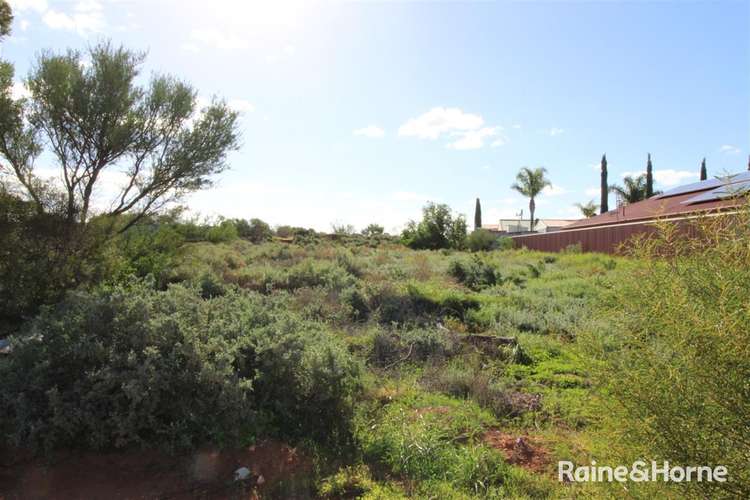 Main view of Homely residentialLand listing, 9 Woodroffe Court, Port Augusta West SA 5700