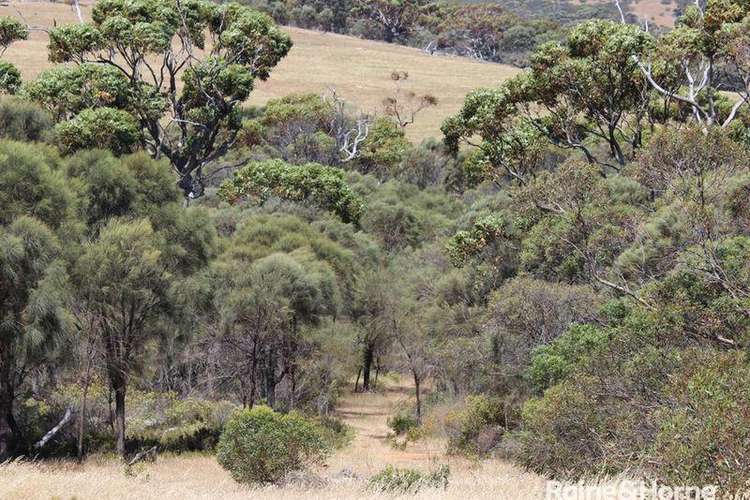 Third view of Homely residentialLand listing, Lot 139 Redgum Road, Coulta SA 5607