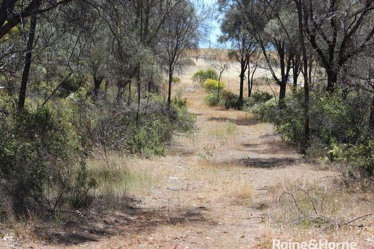 Fourth view of Homely residentialLand listing, Lot 139 Redgum Road, Coulta SA 5607