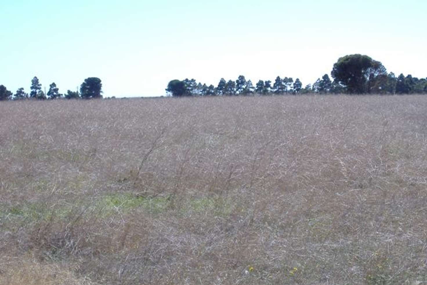 Main view of Homely residentialLand listing, Lot 53 Dalrymple Terrace, Stansbury SA 5582