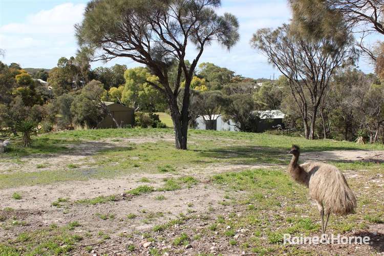 Fifth view of Homely residentialLand listing, 29 Morgan Road, Coffin Bay SA 5607