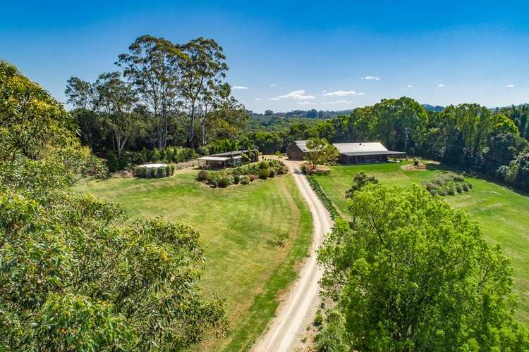 Fourth view of Homely house listing, 575 Binna Burra Road, Federal NSW 2480