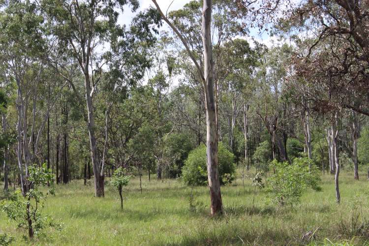 Fourth view of Homely residentialLand listing, Lot 204 Burnett Street, Nanango QLD 4615