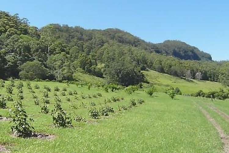 Sixth view of Homely acreageSemiRural listing, 142 RYANS ROAD, Tallebudgera Valley QLD 4228