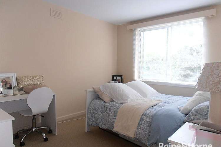 Third view of Homely apartment listing, 5/50 Marieville Esplanade, Sandy Bay TAS 7005