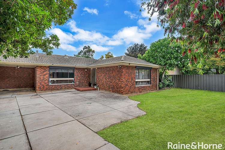 Main view of Homely house listing, 242 Milne Road, Modbury Heights SA 5092