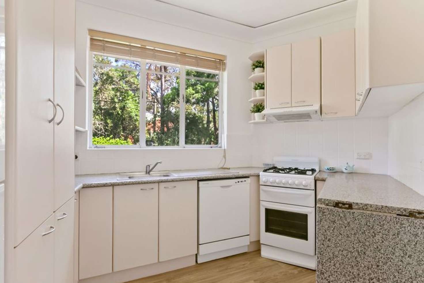 Main view of Homely apartment listing, 11/20 Joubert Street, Hunters Hill NSW 2110