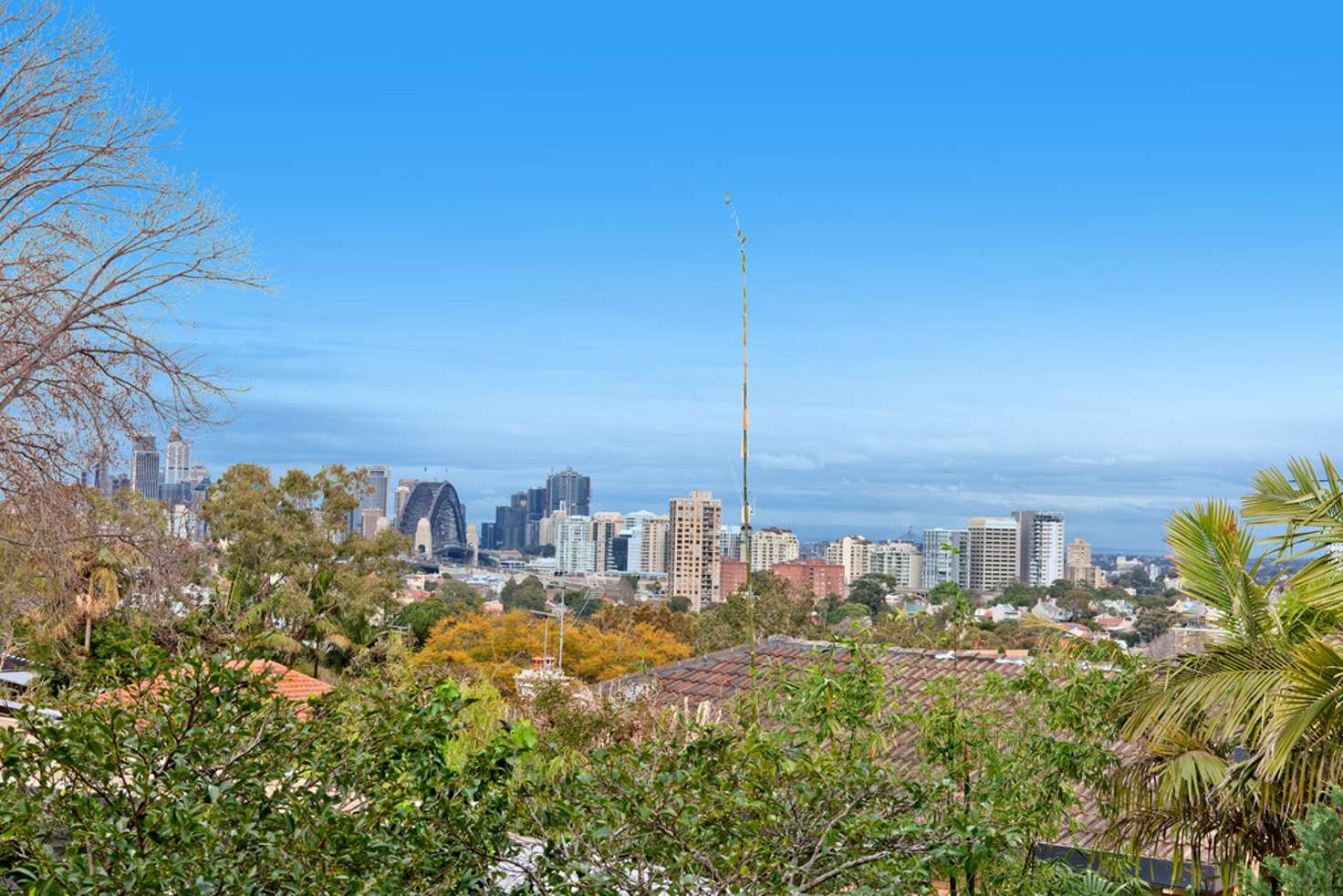 Main view of Homely apartment listing, 1/115 Ben Boyd Road, Neutral Bay NSW 2089