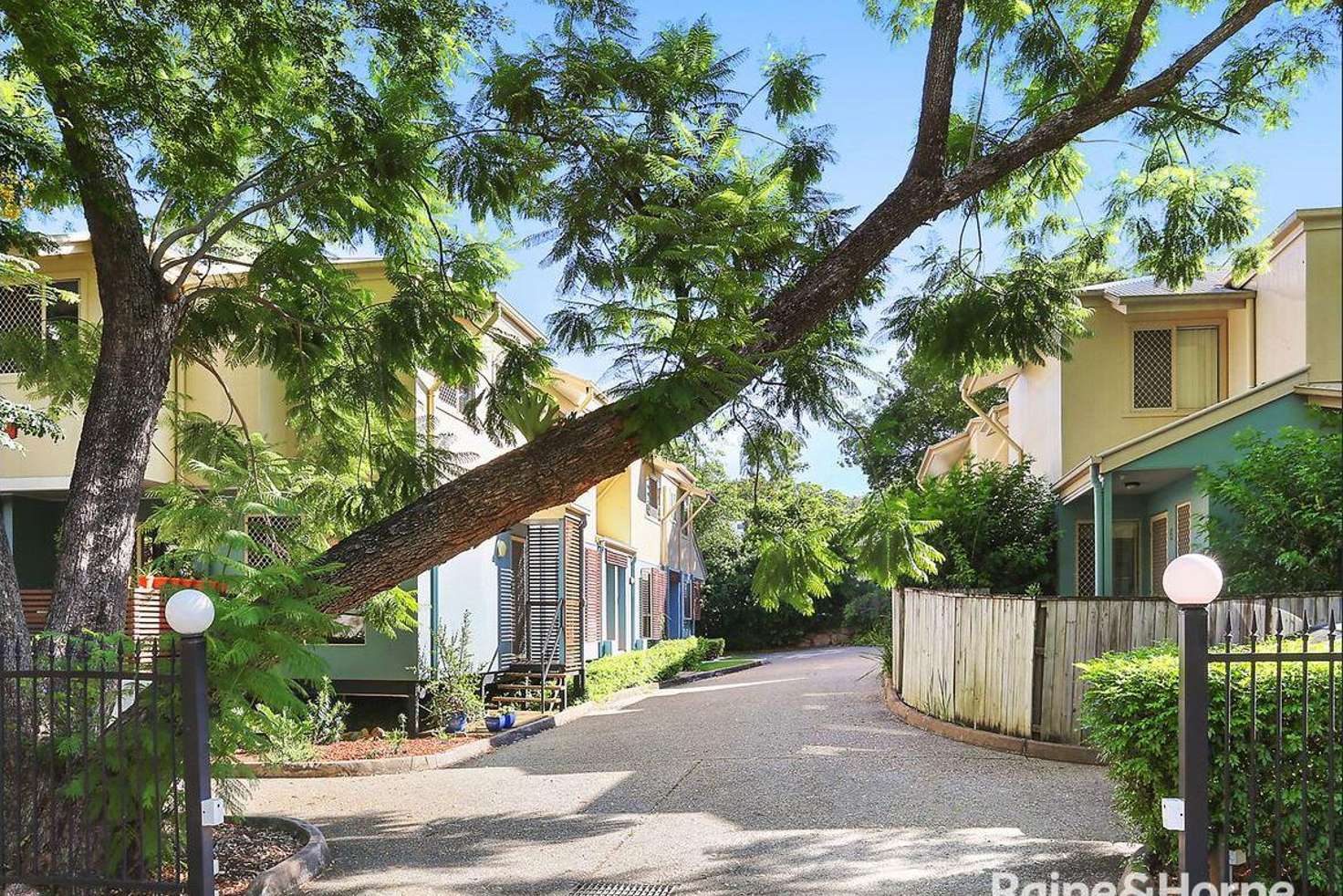 Main view of Homely townhouse listing, 3/43 Bellevue Terrace, St Lucia QLD 4067