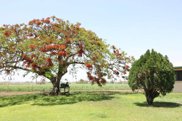 Third view of Homely house listing, 576 IONA ROAD, Fredericksfield QLD 4806