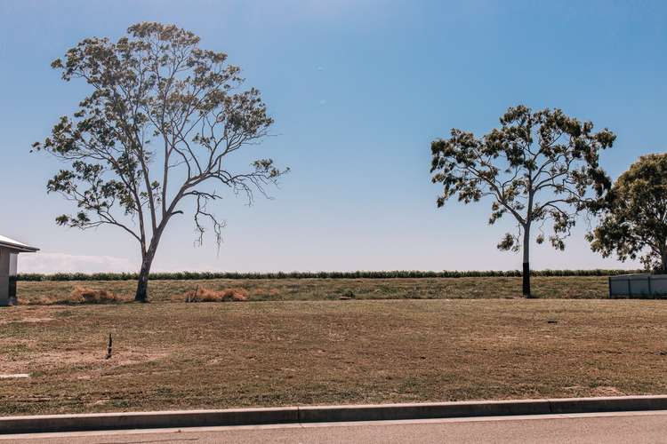 Sixth view of Homely residentialLand listing, LOT 1-37 Lando Park Estate, Ayr QLD 4807