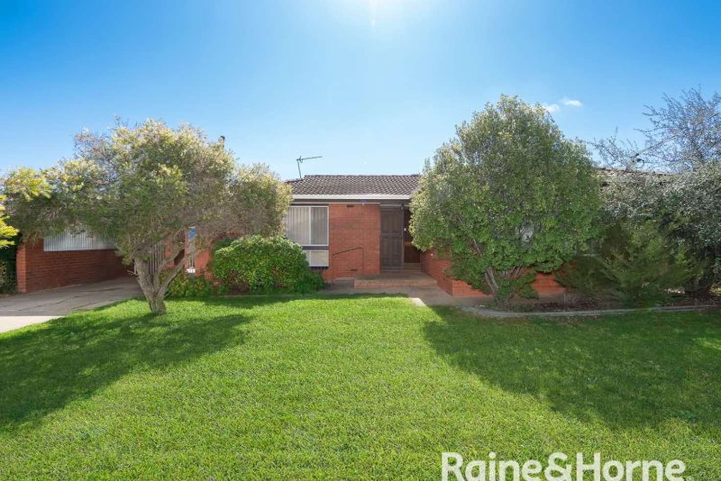 Main view of Homely house listing, 31 Crawford Street, Ashmont NSW 2650