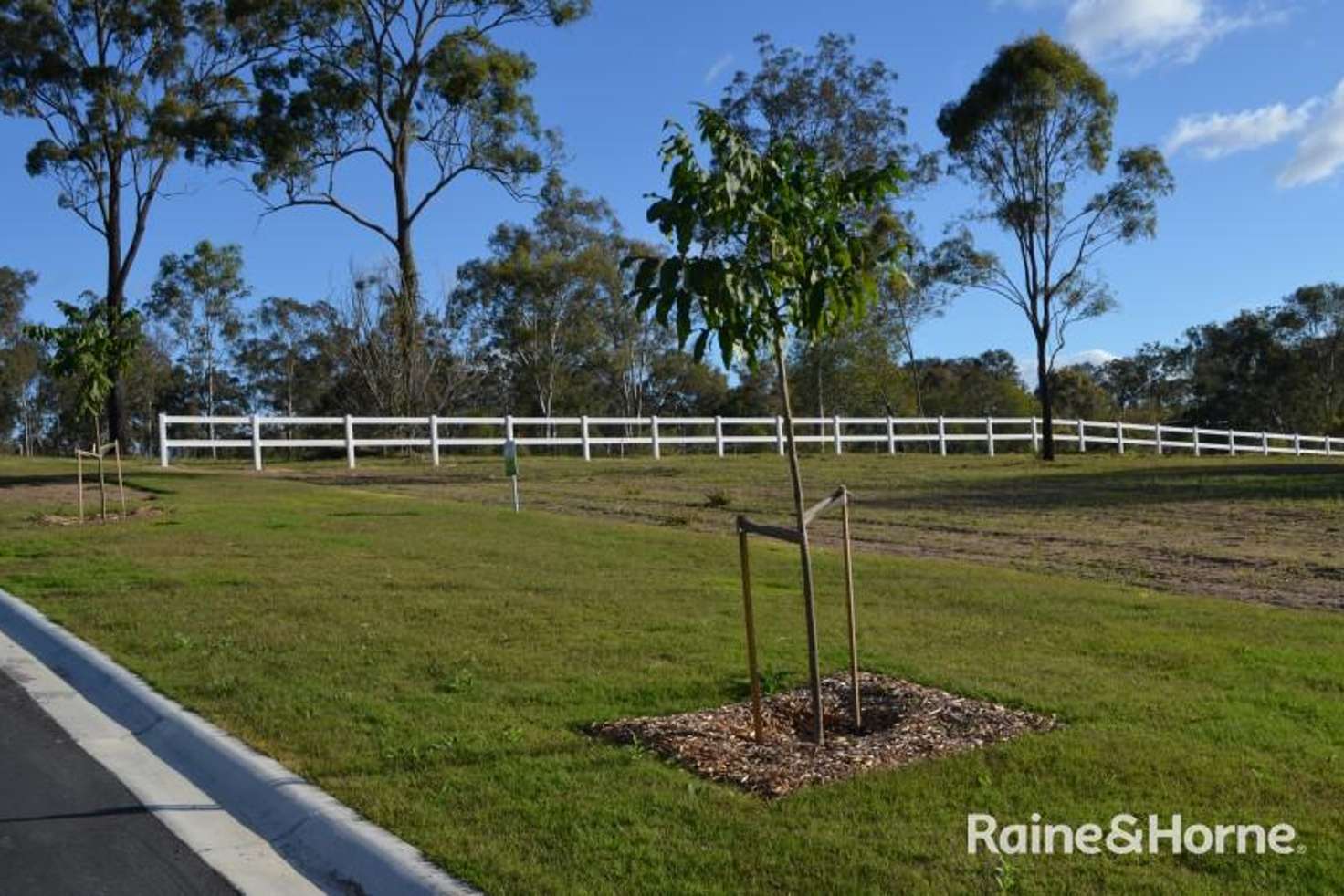 Main view of Homely residentialLand listing, (Lot 16), 2-8 Colt Court, South Maclean QLD 4280