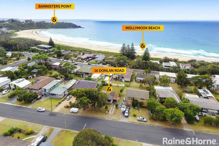 Main view of Homely house listing, 16 Donlan Road, Mollymook Beach NSW 2539
