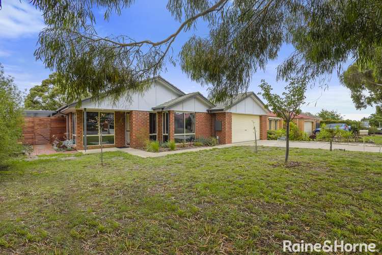 Main view of Homely house listing, 11 Candlebark Court, Riddells Creek VIC 3431