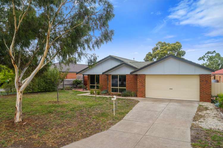 Second view of Homely house listing, 11 Candlebark Court, Riddells Creek VIC 3431