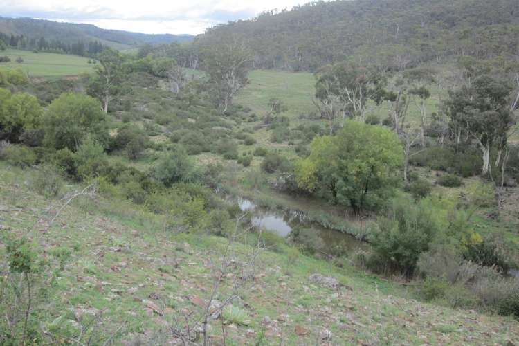 Main view of Homely acreageSemiRural listing, 1218 Dry Plains Rd, Cooma NSW 2630