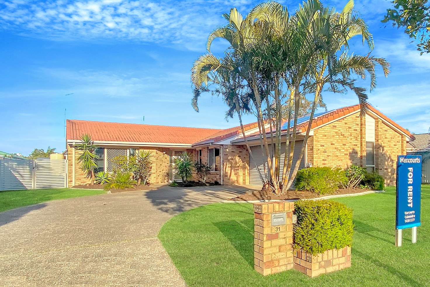 Main view of Homely house listing, 31 Talara Street, Currimundi QLD 4551