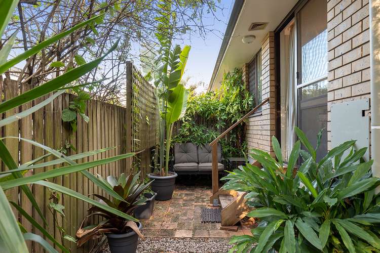 Main view of Homely unit listing, 4/19 Lucinda Street, Taringa QLD 4068