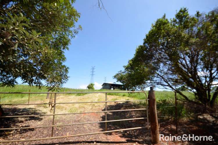 Fourth view of Homely residentialLand listing, Lot 2 Nine Mile Road, Julatten QLD 4871