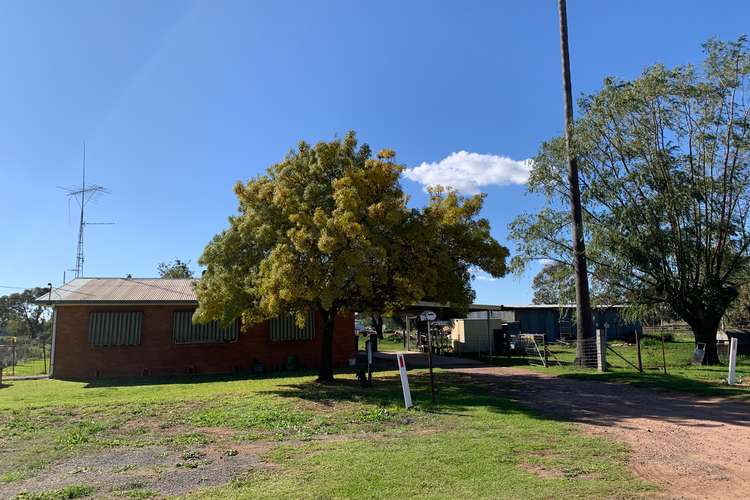 Main view of Homely house listing, 12 Gidgell Street, Yanco NSW 2703