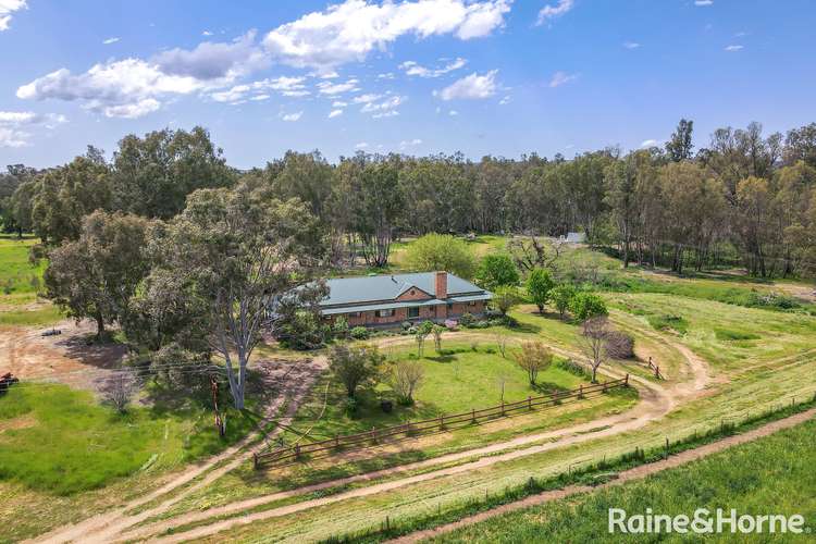 264 Gumly Road, Forest Hill NSW 2651