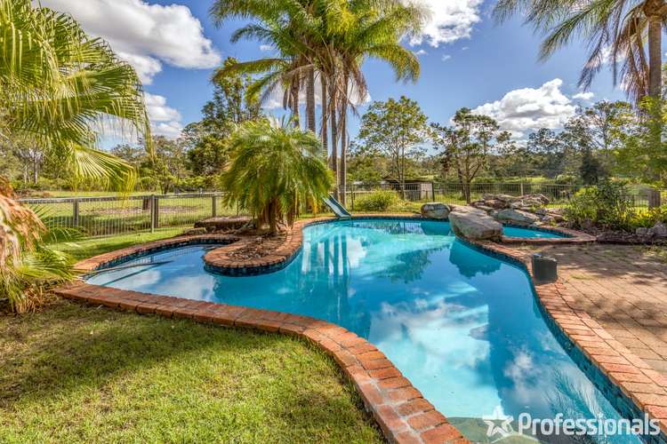 Main view of Homely house listing, 1851 Beaudesert Beenleigh Road, Tamborine QLD 4270